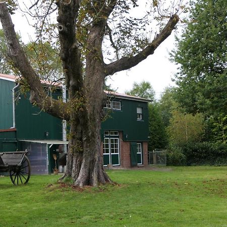 Ferienwohnung Weideglueck Osten Eksteriør bilde